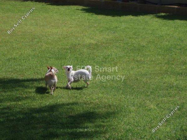 4 bedroom detached house for sale latsia nicosia 1152342 image 14621614