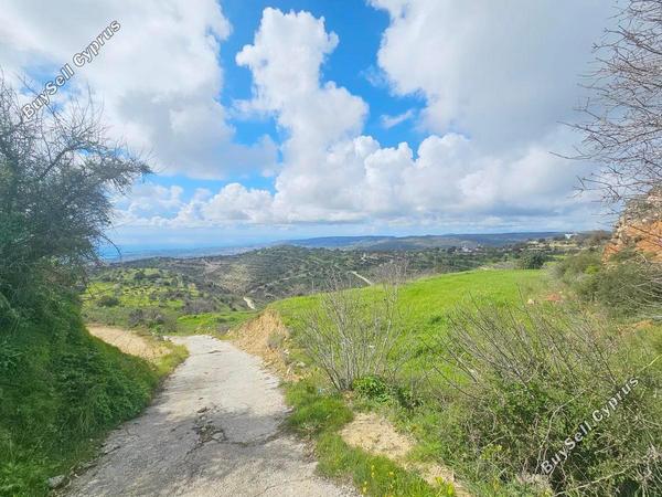 land for sale koili paphos 8397342 image 14824189