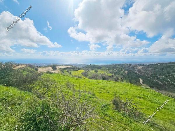 land for sale koili paphos 8397342 image 14824194