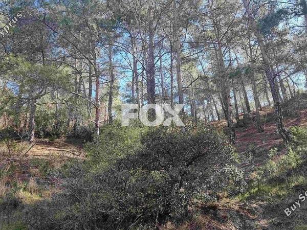 land for sale moniatis limassol 1325342 image 16268158