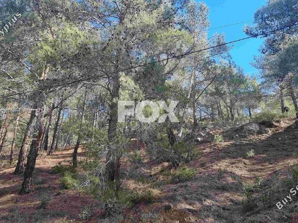 land for sale moniatis limassol 1325342 image 16268179