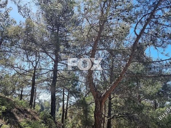 land for sale moniatis limassol 1325342 image 16268193