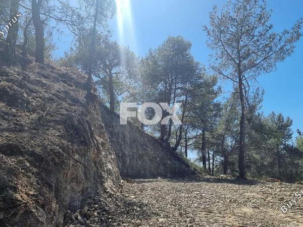 land for sale moniatis limassol 1325342 image 16268195