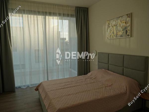 3 bedroom detached house for rent geroskipou paphos 8720442 image 16316433