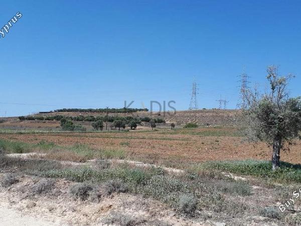 land for sale agioi trimithias nicosia 1619442 image 5888054