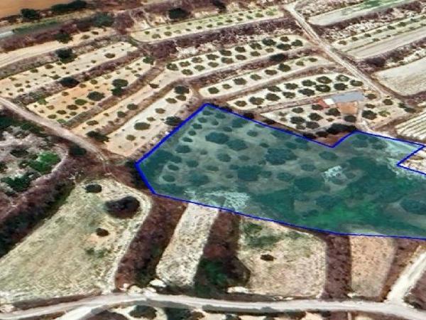 land for sale kampia nicosia 1530442 image 16168260