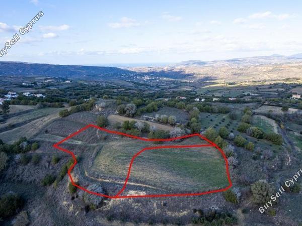 land for sale stroumbi paphos 8395442 image 15200716