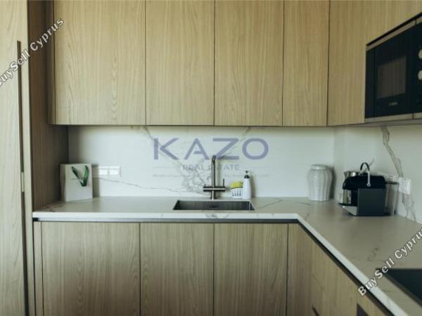 2 bedroom semi detached house for rent tserkezoi limassol 8716542 image 16300136