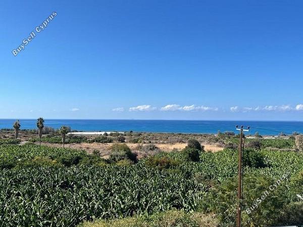 7 bedroom detached house for sale coral bay paphos 8395542 image 16045497