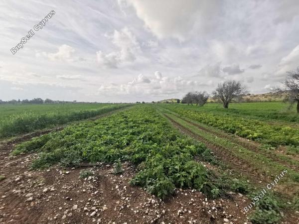 land for sale konia paphos 1355542 image 11365336