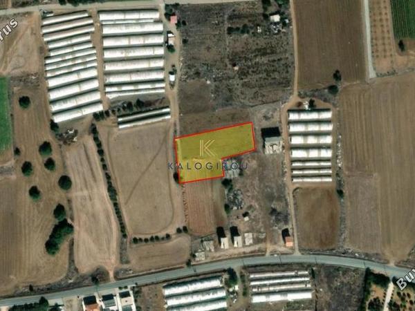 land for sale maroni larnaca 8447642 image 15071577