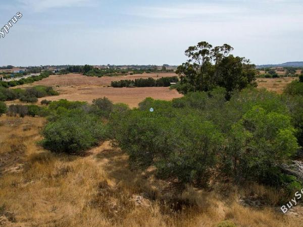 land for sale paralimni famagusta 1800642 image 6109587