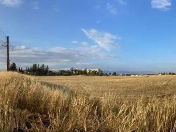 land for sale tseri nicosia 7526642 image 10731178