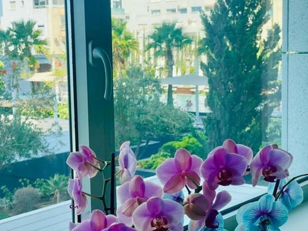 2 bedroom apartment for sale neapolis limassol 8350742 image 15041267