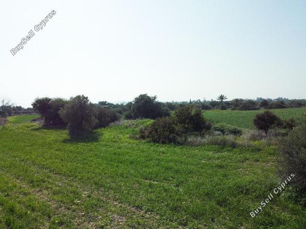 land for sale agios theodoros larnacas larnaca 987742 image 15601299