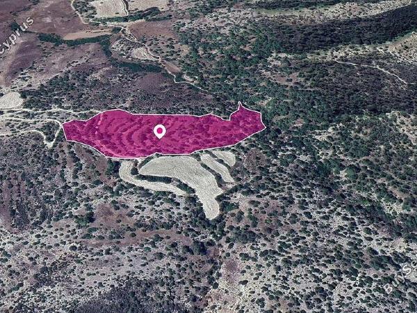 land for sale amargeti paphos 1897742 image 14208025