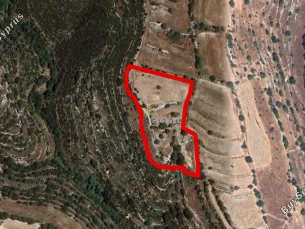 land for sale dora limassol 1194742 image 5570025