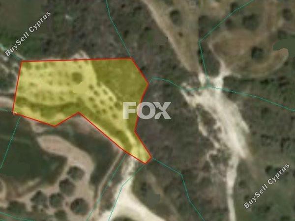 land for sale drousia paphos 1158842 image 10028657