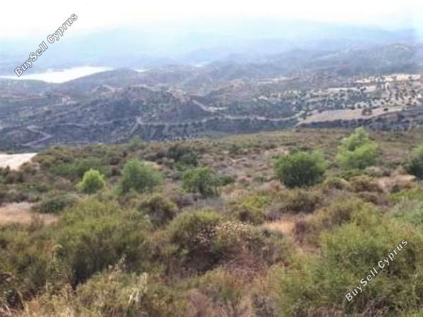 land for sale ora larnaca 945842 image 15603480