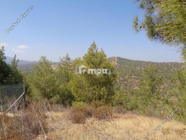 2 bedroom detached house for sale kapedes nicosia 1727942 image 13527354