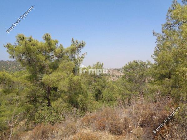 2 bedroom detached house for sale kapedes nicosia 1727942 image 13527355