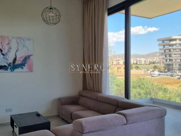 3 bedroom apartment for rent mesa gitonia limassol 8633942 image 16982589