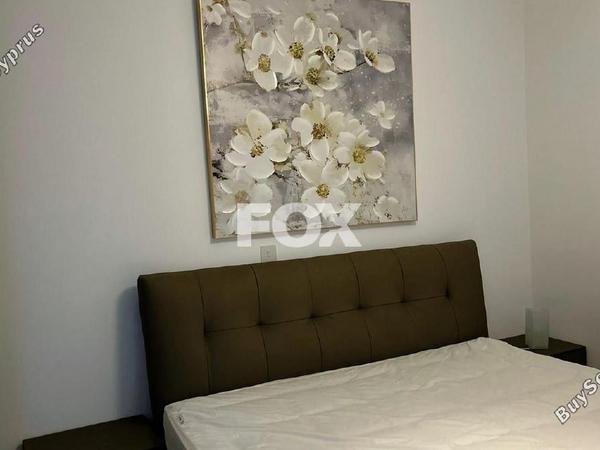 3 bedroom detached house for sale chlorakas paphos 1159942 image 10030154