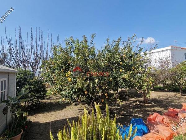 4 bedroom detached house for sale kiti larnaca 8441942 image 15291565