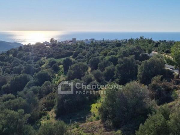 4 bedroom detached house for sale secret valley paphos 8347942 image 14745900