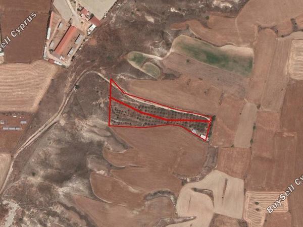 land for sale agioi trimithias nicosia 904942 image 2826381