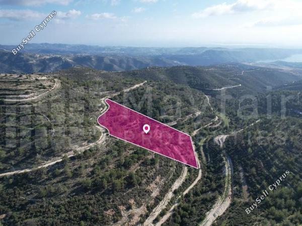 land for sale laneia limassol 7871942 image 11383564