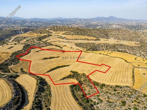 plot for sale choirokoitia larnaca 1650942 image 11429689