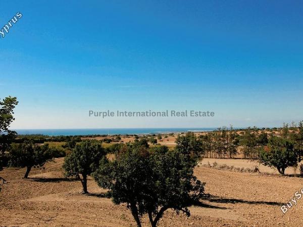 7 bedroom detached house for sale souskiou paphos 7543052 image 14762348