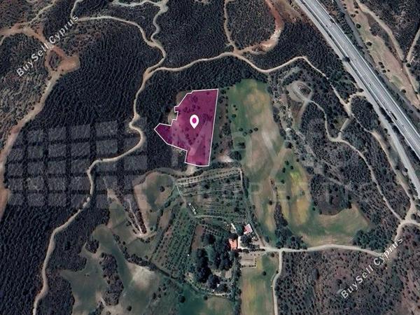 land for sale kofinou larnaca 7872052 image 15738780