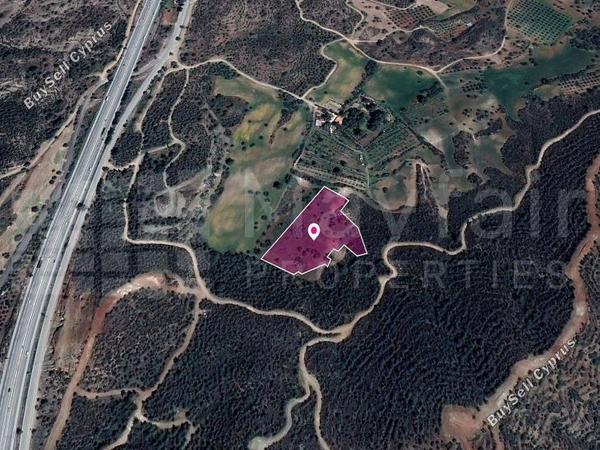 land for sale kofinou larnaca 7872052 image 15738783