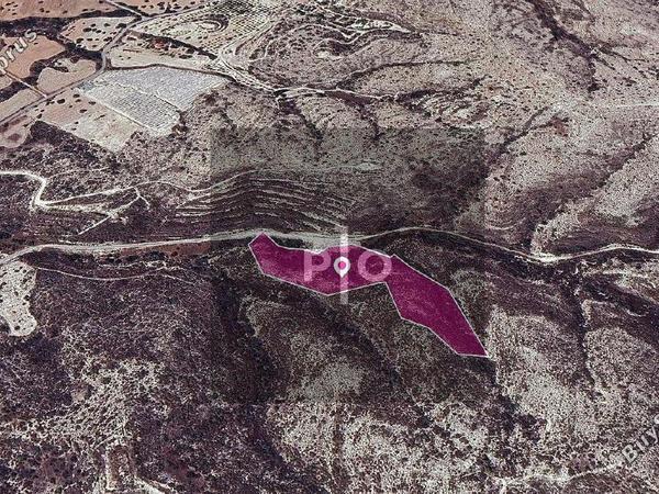 land for sale skarinou larnaca 8275052 image 15157135