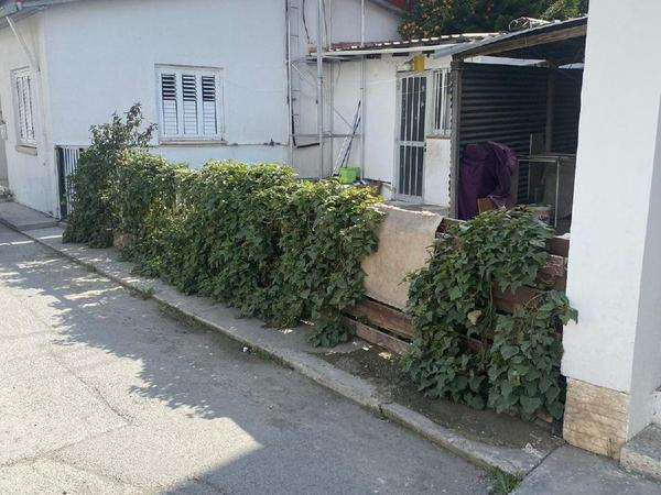 1 bedroom detached house for sale sotiros agios ioannis larnaca larnaca 1910152 image 16130393