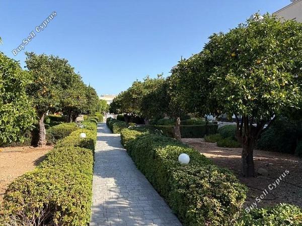 3 bedroom town house for sale mandria pafou paphos 8395152 image 16040980