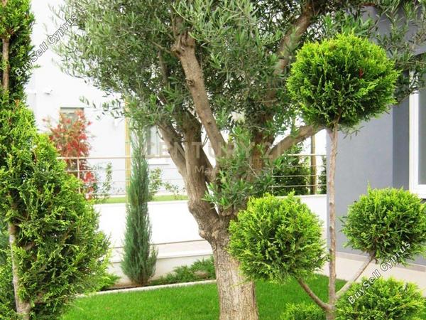 6 bedroom detached house for sale moni limassol 1137152 image 16627198