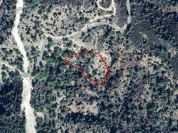 land for sale arminou paphos 1764152 image 5732913