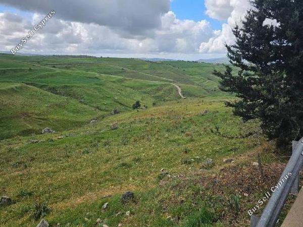land for sale drynia paphos 8532152 image 16306132