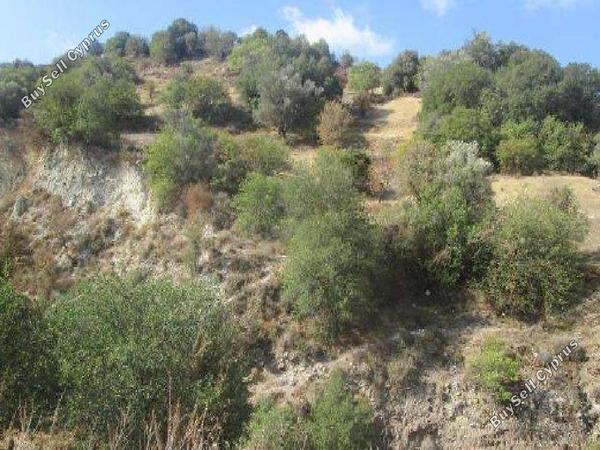 land for sale kallepeia paphos 7533152 image 15597455