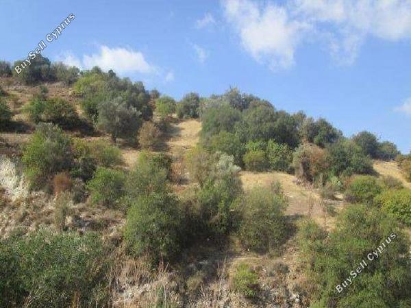 land for sale kallepeia paphos 7533152 image 15597456