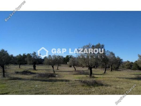 land for sale kornos larnaca 1688152 image 6008976