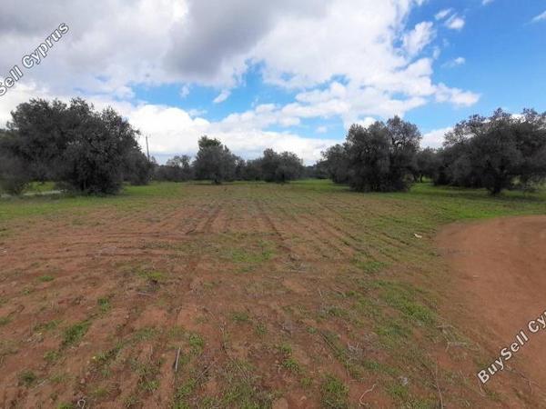land for sale lythrodontas nicosia 1062152 image 16175842