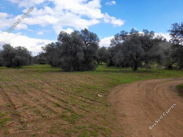 land for sale lythrodontas nicosia 1062152 image 16175843