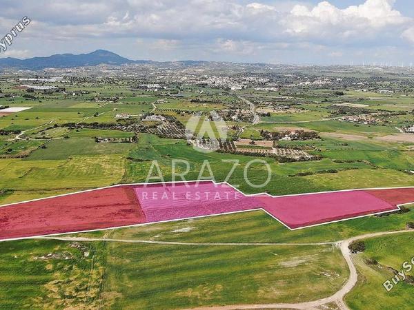 land for sale mazotos larnaca 1279152 image 12955814