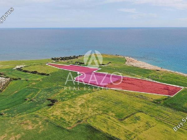 land for sale mazotos larnaca 1279152 image 12955822