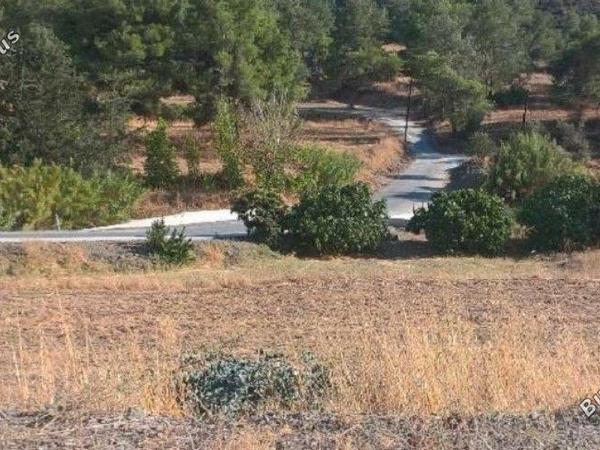 land for sale mosfiloti larnaca 7827152 image 10714780