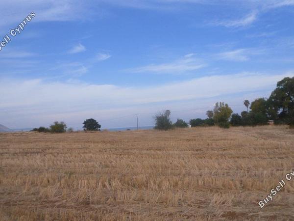 land for sale poli chrysochous paphos 828152 image 15178861